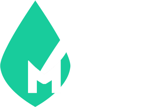 Elastic Mint